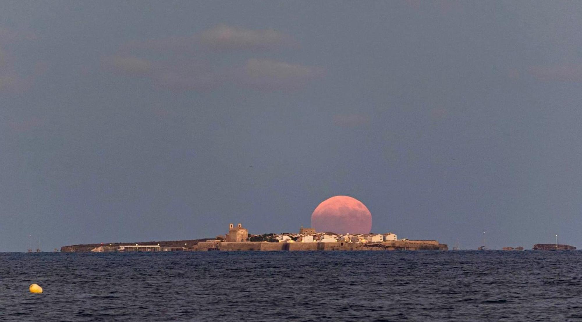Refugio Del Mar Lejlighed Santa Pola Eksteriør billede